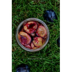 Pasteryzowane Śliwki w czekoladzie